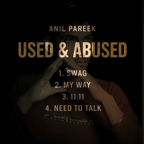 Used & Abused Anil Pareek MP3 Download